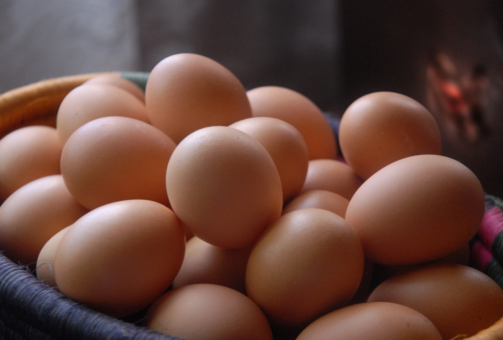 Huevos