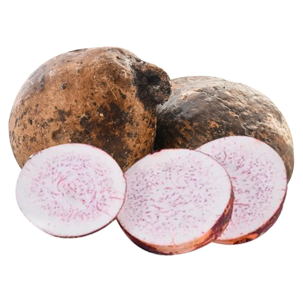 Ñampí